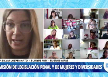 Diputados: Avanza un proyecto que incorpora la perspectiva de género a la legítima defensa