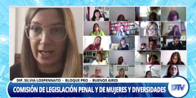 Diputados: Avanza un proyecto que incorpora la perspectiva de género a la legítima defensa