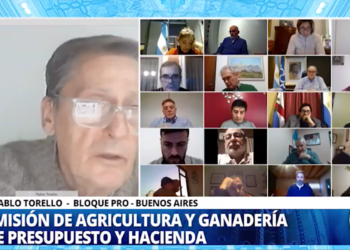 Diputados: El proyecto que promueva una nueva Ley ovina podrá ser tratado en el recinto