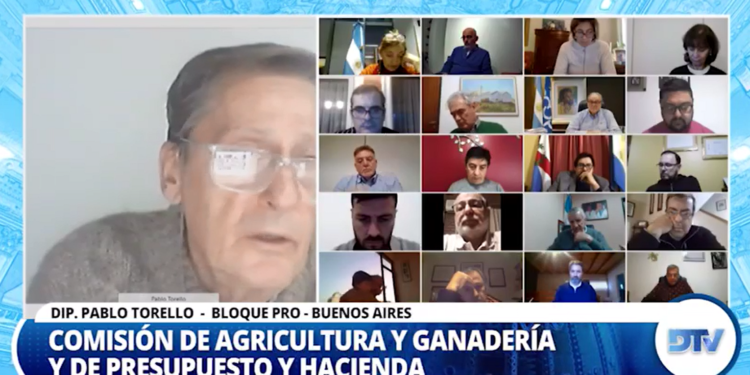 Diputados: El proyecto que promueva una nueva Ley ovina podrá ser tratado en el recinto