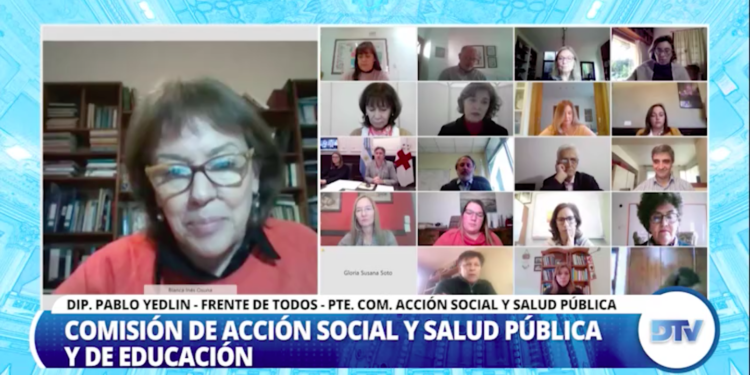 Diputados: Especialistas expusieron sobre la iniciativa que jerarquiza la formación y desarrollo de la enfermería