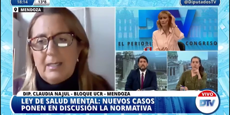 Diputados se refirieron a la necesidad de trabajar en Ley de Salud Mental