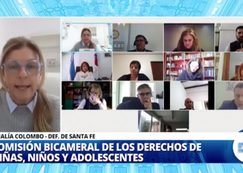Diputados: Representantes de las Defensorías Provinciales expusieron sobre la Niñez y la Adolescencia