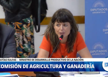 Con la presencia de Kulfas, Diputados avanzó con el proyecto que regula la producción de cannabis medicinal
