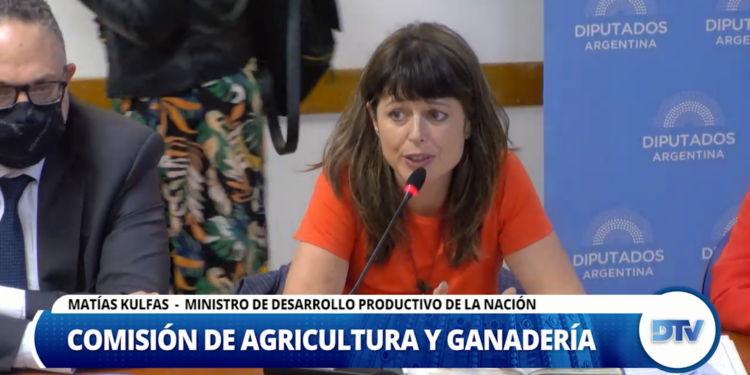 Con la presencia de Kulfas, Diputados avanzó con el proyecto que regula la producción de cannabis medicinal