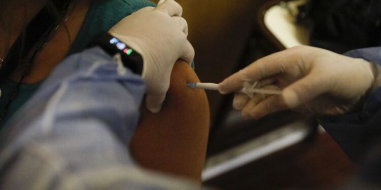 Covid-19: comprueban la eficacia de una vacuna de origen vegetal probada en la Argentina