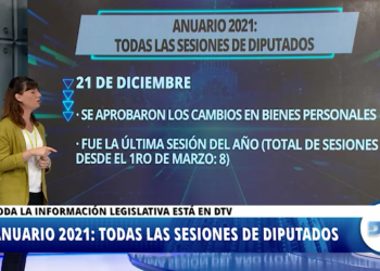 Las leyes que marcaron el año parlamentario en la Cámara de Diputados