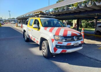 Utilitarios, eléctricos, furgones y camionetas