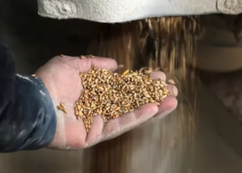 Las crisis alimentaria y energética: dos desafíos gigantes para la humanidad