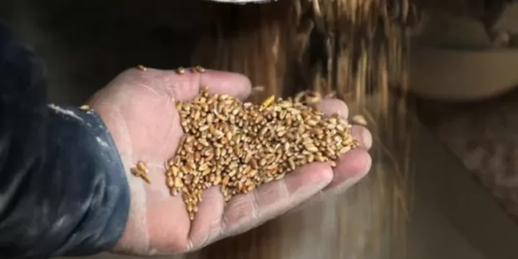 Las crisis alimentaria y energética: dos desafíos gigantes para la humanidad