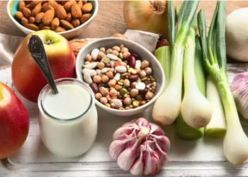 ¿Qué es la fibra prebiótica y por qué es esencial para el organismo?