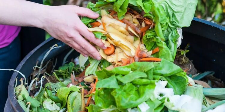 Día Internacional contra el Desperdicio de Alimentos: se desechan cerca de 1.300 millones de toneladas anuales en el mundo