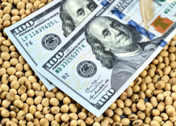 Rige el nuevo dólar soja y advierten que podría hacer subir las cotizaciones paralelas