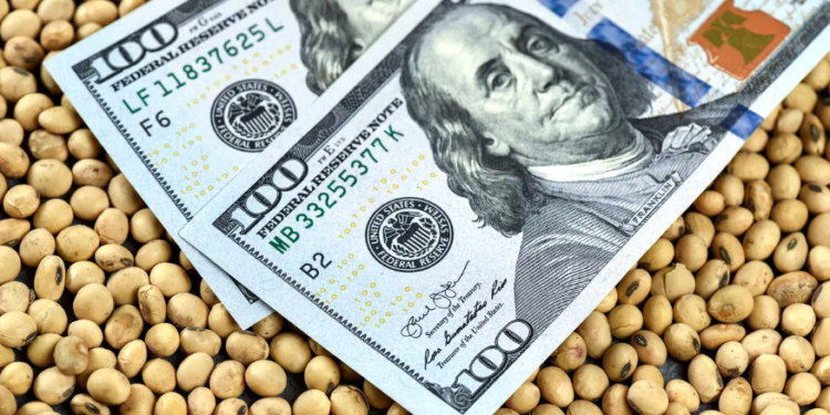 Rige el nuevo dólar soja y advierten que podría hacer subir las cotizaciones paralelas