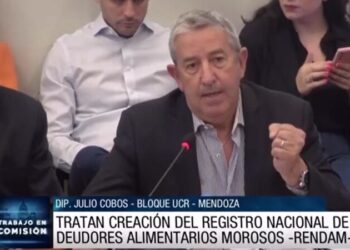 Avanza en Diputados un proyecto que impulsa Cecilia Moreau para crear un Registro Nacional de Deudores Alimentarios