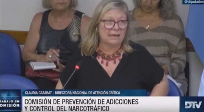 Diputados: organizaciones y expertos discutieron en comisión la situación actual de la ley sobre salud mental