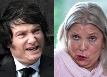 Javier Milei salió en defensa de Mauricio Macri y le contestó a Elisa Carrió: “Se le colgaron para robar cargos y ahora le escupen”