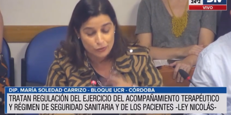 En comisión de salud, avanzó el proyecto sobre seguridad del paciente y la iniciativa que regula la actividad del acompañante terapéutico