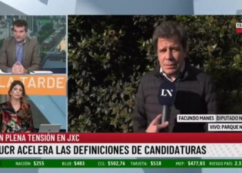 Manes: «El radicalismo debe tener un candidato a Presidente»