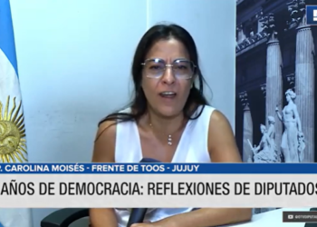 Diputados reflexionaron sobre la importancia de que se hayan cumplido 40 años interrumpidos en democracia