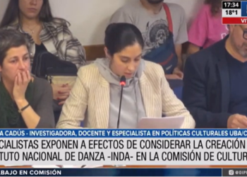 La comisión de cultura inició con expositores el debate sobre una Ley Nacional de Danza
