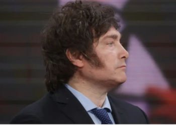 Tras el impacto por el fuerte apoyo a Milei, qué se puede esperar de la institucionalidad del país