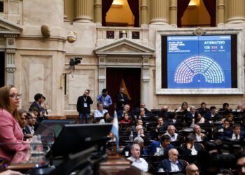 Diputados sancionó la Ley de Alquileres y aprobó el programa «Compre sin IVA»