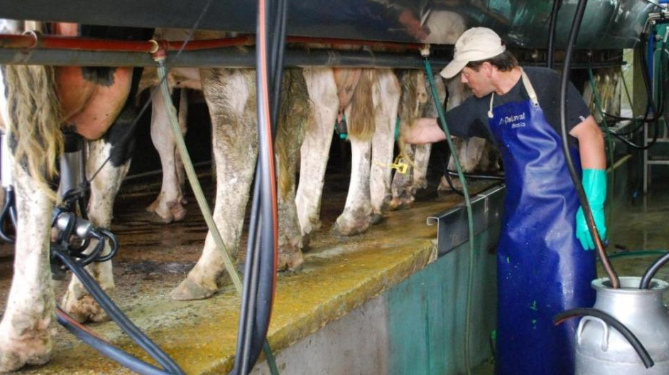 Mastellone Hnos. destaca el rol estratégico de los productores y tamberos dentro de la cadena láctea