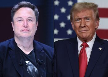 Donald Trump nombró a Elon Musk al frente de un departamento de “eficiencia gubernamental”