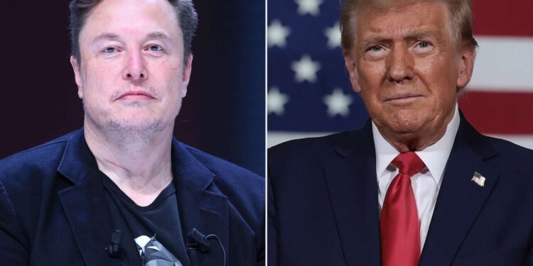 Donald Trump nombró a Elon Musk al frente de un departamento de “eficiencia gubernamental”