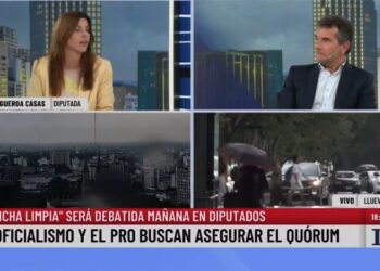 «Ficha Limpia» se debate mañana en Diputados