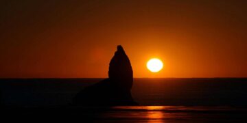 Mar del Plata: imperdible para disfrutar el fin de semana largo