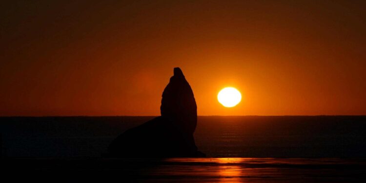 Mar del Plata: imperdible para disfrutar el fin de semana largo