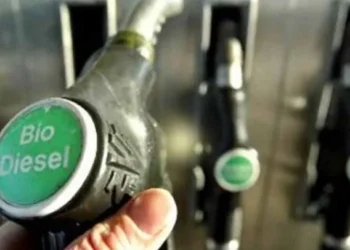 El Gobierno aprobó un ajuste del 2% en el precio del biodiesel: cuál será su efecto en los combustibles