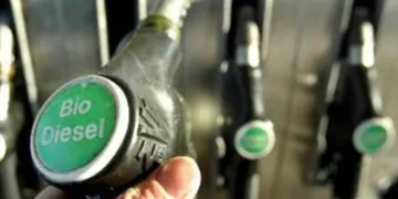 El Gobierno aprobó un ajuste del 2% en el precio del biodiesel: cuál será su efecto en los combustibles