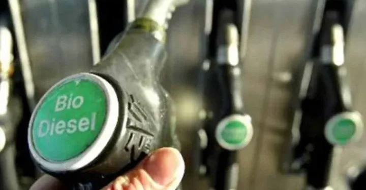 El Gobierno aprobó un ajuste del 2% en el precio del biodiesel: cuál será su efecto en los combustibles