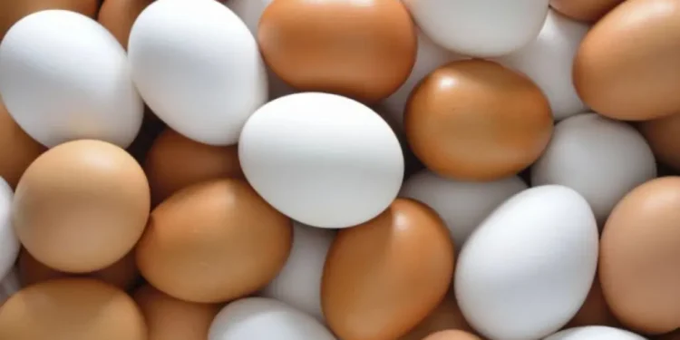 Alerta por ingreso masivo de huevos ilegales desde países vecinos