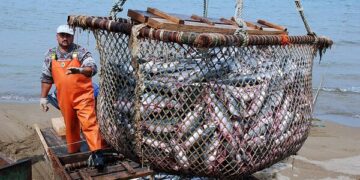 La peor crisis de la pesca en la Argentina