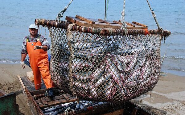 La peor crisis de la pesca en la Argentina