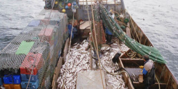 Se restablece la actividad pesquera en Chubut tras acuerdo sindical