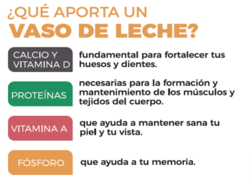 Mastellone Hnos. celebra el Día Mundial de la Leche Escolar con una acción  especial para promover hábitos de alimentación saludable