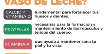Mastellone Hnos. celebra el Día Mundial de la Leche Escolar con una acción  especial para promover hábitos de alimentación saludable