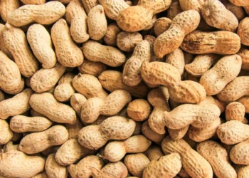 Las exportaciones de maní aumentaron 34%