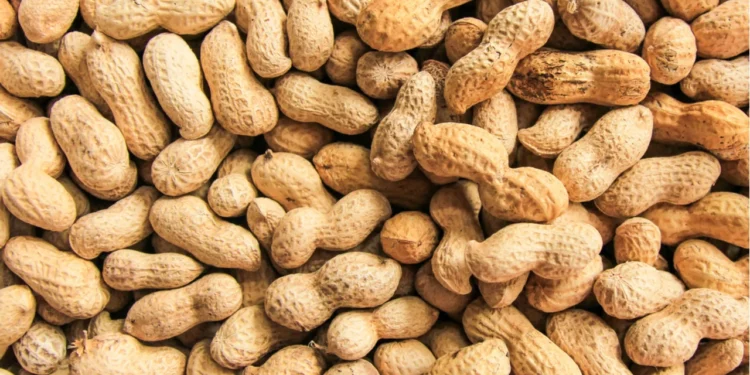 Las exportaciones de maní aumentaron 34%