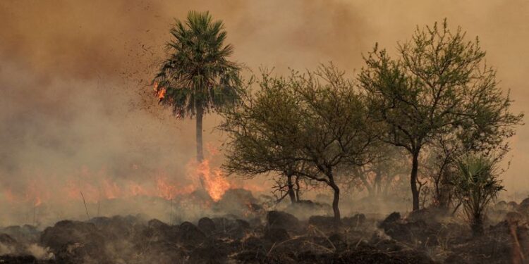Incendios en Corrientes: brigadas provinciales controlaron focos en siete localidades