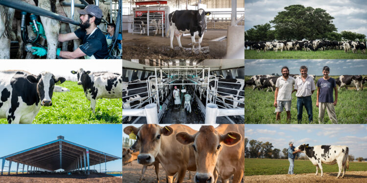 Mastellone Hnos. conmemora el Día del Tambero