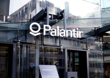 Palantir y el NHS británico: cuestionamientos por la adjudicación de contratos y la gestión de datos de pacientes