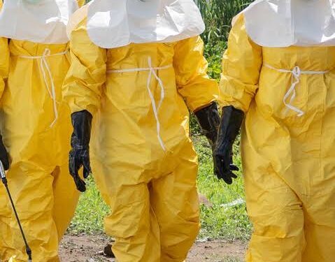 Médicos Sin Fronteras advierte que la mortalidad por ébola en RDC podría ser superior a la oficial